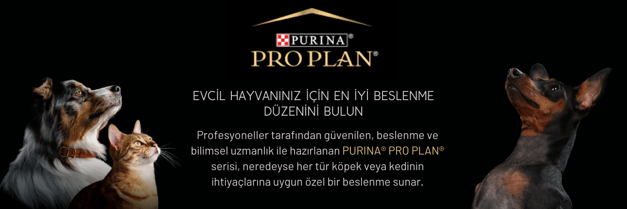 Proplan