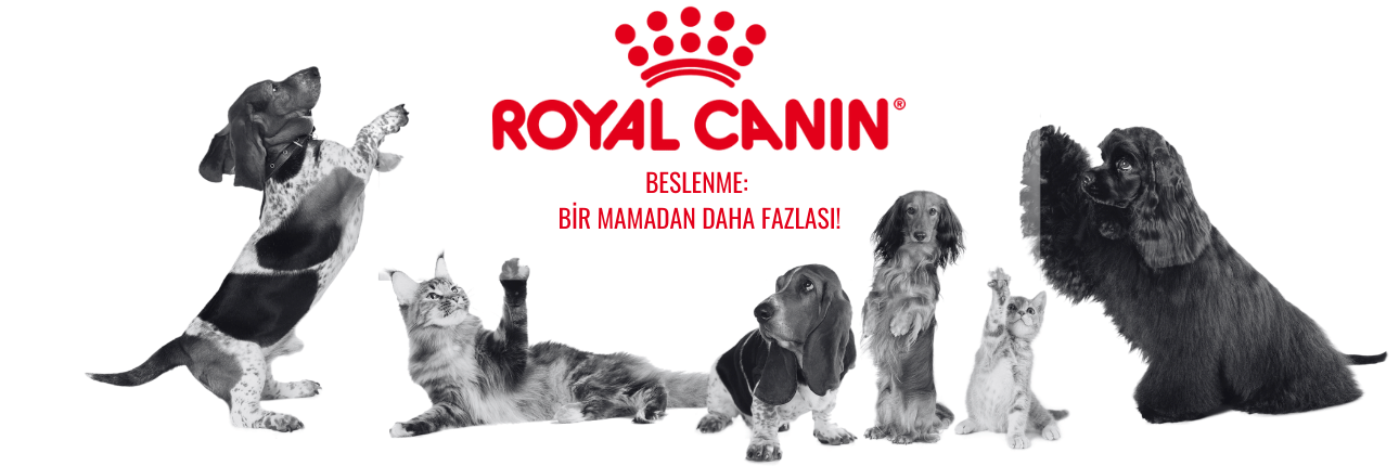 Royal Canin